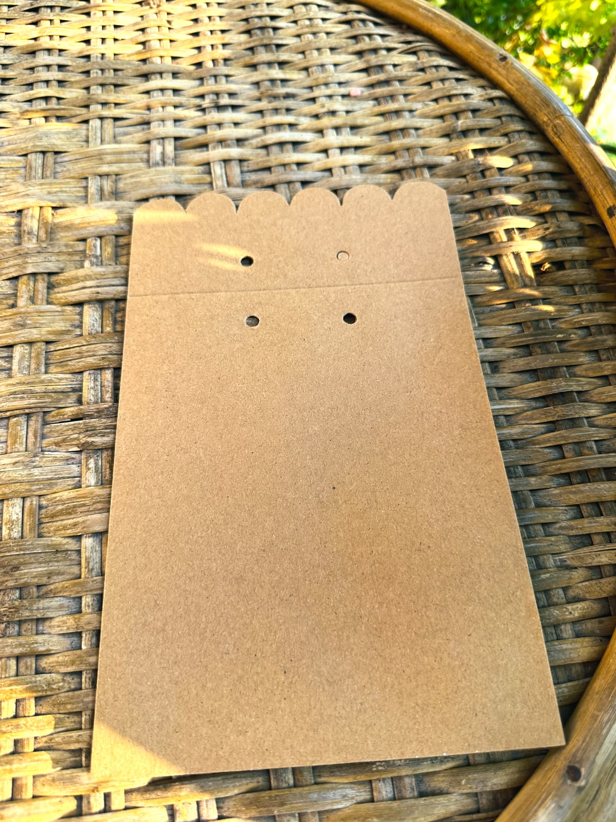 Kraft Envelope
