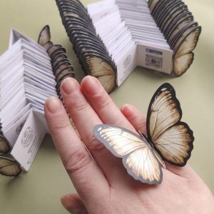 Butterfly Promo Cards