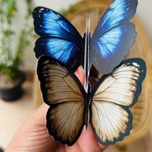 Butterfly cards (OFFER) 1000 Piece